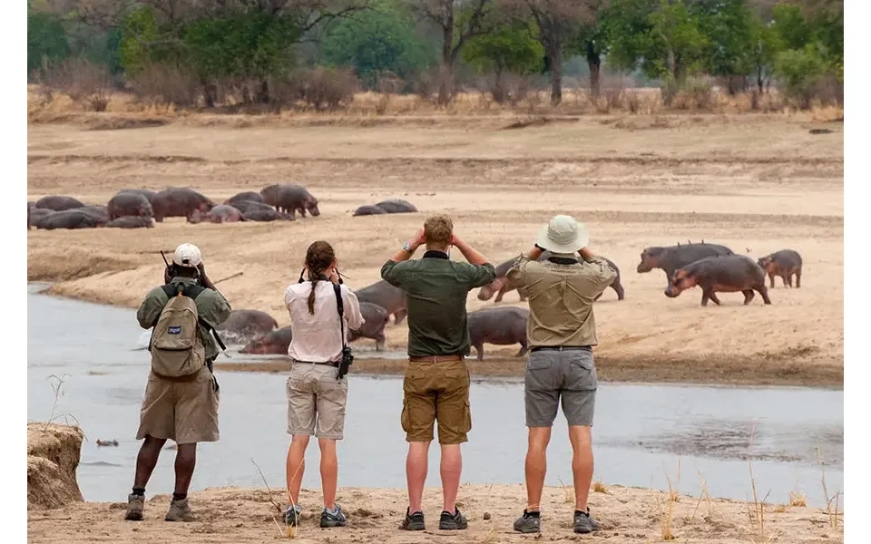 South & North Luangwa Safari