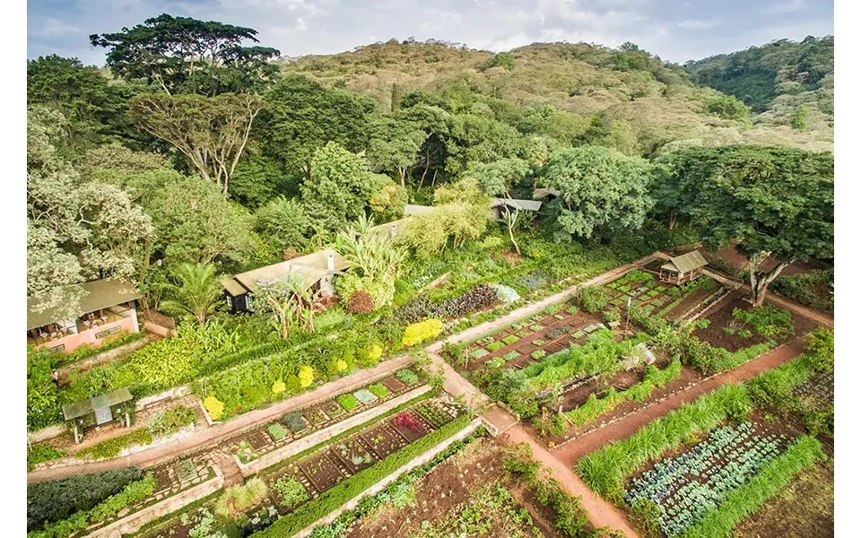 Tanzania North And South Safari