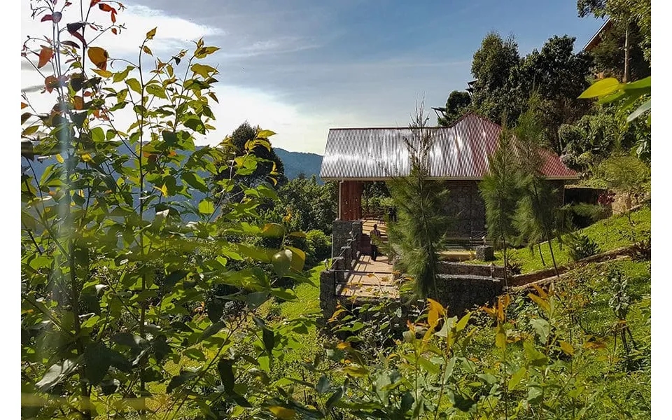 Ugandaâ S Luxury Gorilla Safari