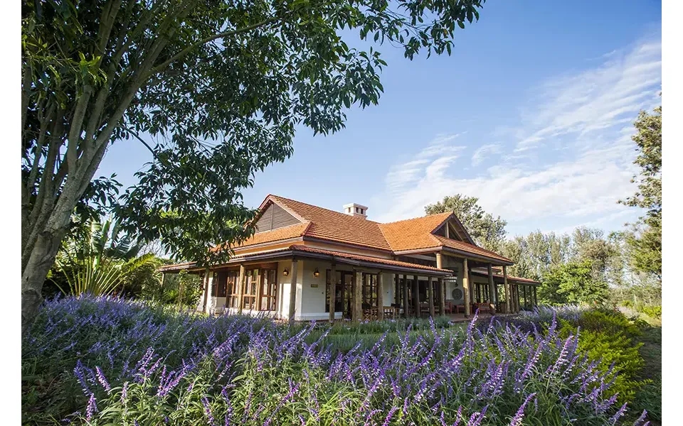 Ultra-luxury Tanzania & Kenya Safari