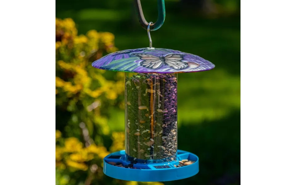 Bright & Bold Solar Bird Feeder - Butterfly