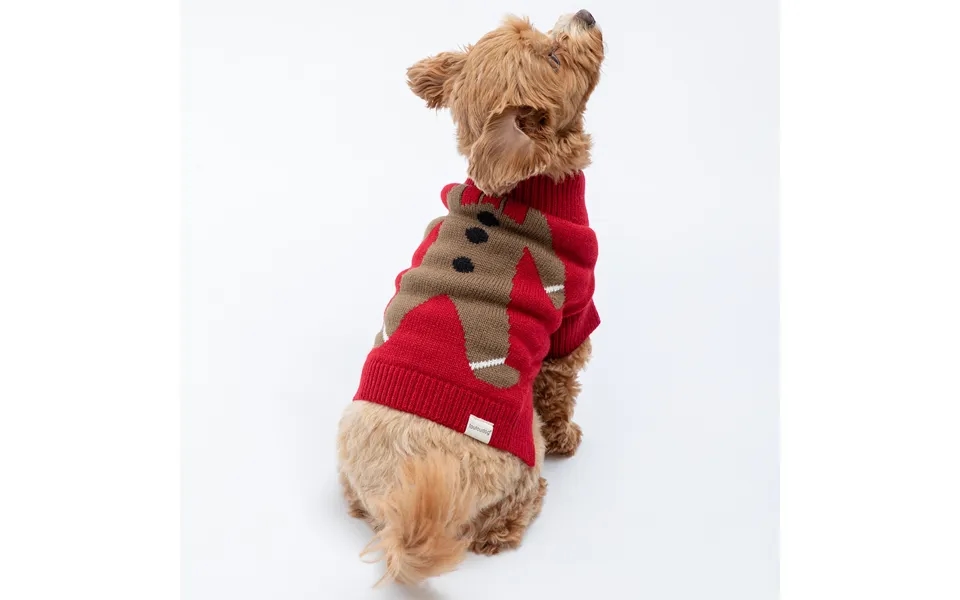 Cozy Christmas Pet Sweater - Gingerbread
