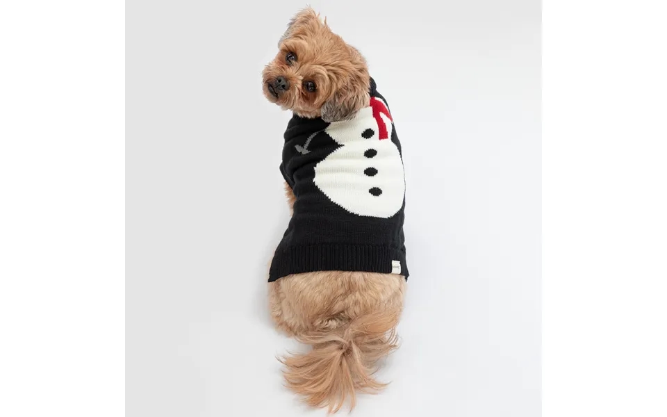 Cozy Christmas Pet Sweater - Snowman