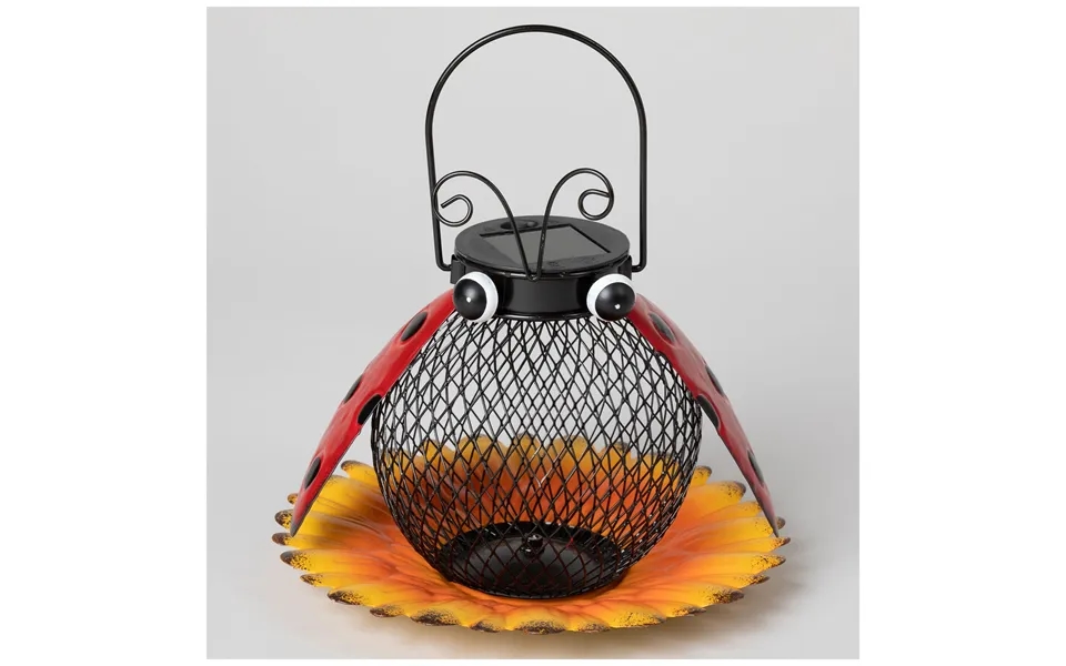 Cute As A Bug & Flower Hanging Bird Feeder - Lady Bug