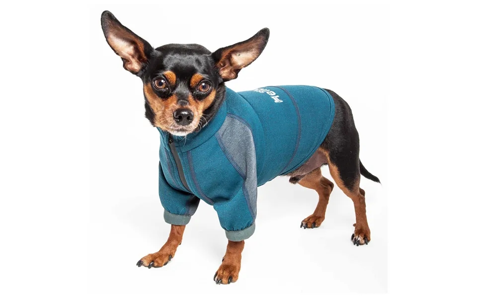 Dog Helios Eboneflow Dog Yoga T-shirt - Ocean Blue Grey