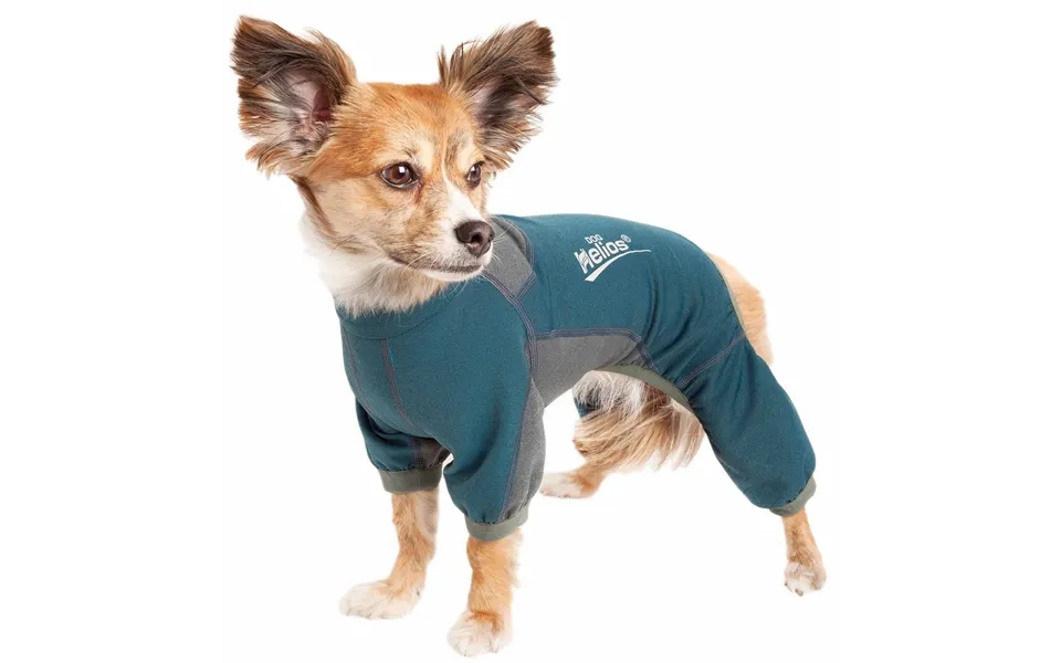 Dog Helios Rufflex Dog Warmup Track Suit - Blue & Gray