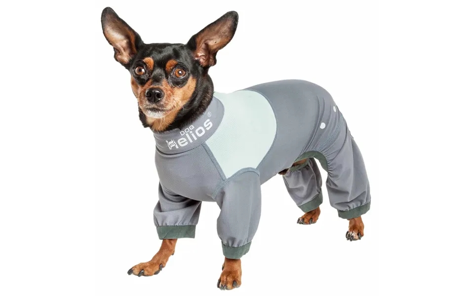 Dog Helios Tail Runner Dog Track Suit - Gray