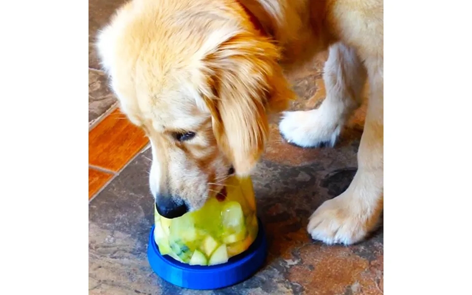 Doggie Cone Diy Frozen Dog Treat