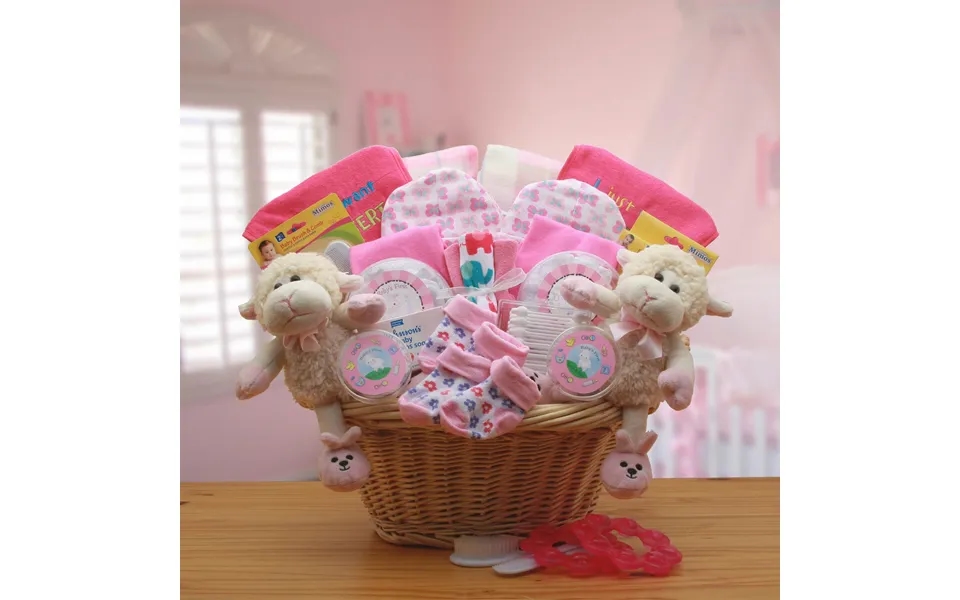 Double Delight Twins New Babies Gift Basket - Pink