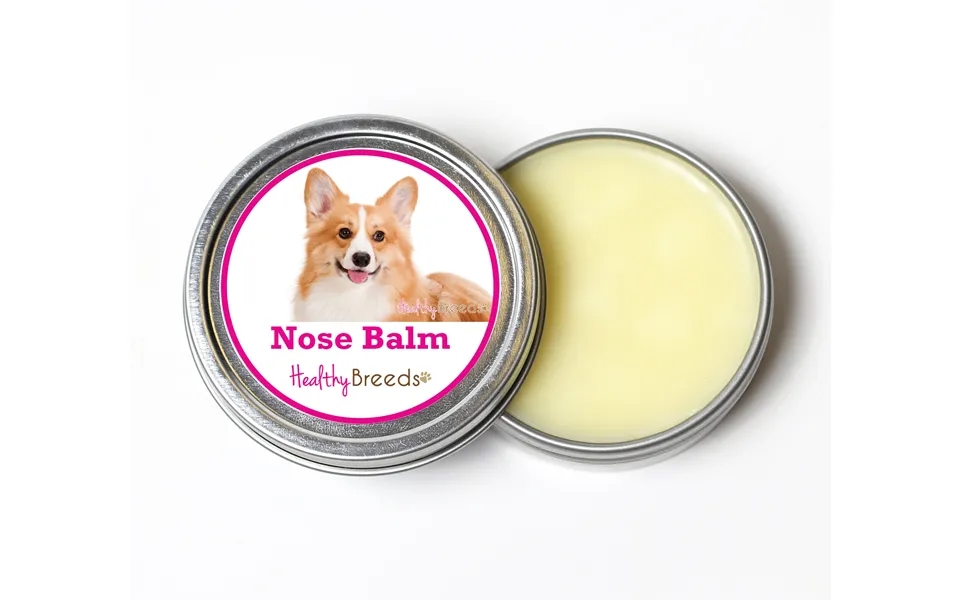 Healthy Breeds Dog Nose Balm - Pembroke Welsh Corgi