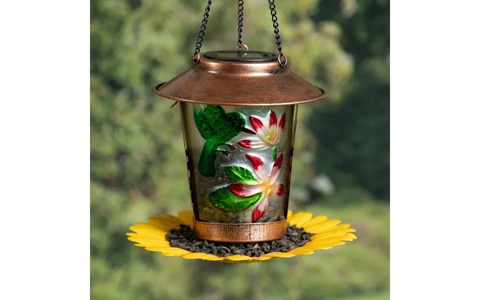 Hummingbird Solar Hanging Bird Feeder