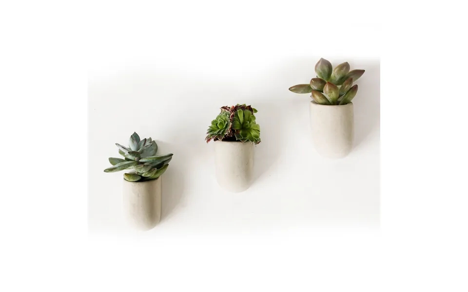 Magnet Plant Pots - Set Of 3