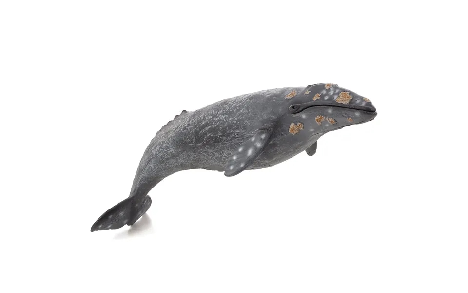 Mojo Fun Gray Whale