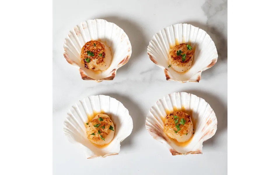 Nantucket Seafood Natural Canape Shells - Set Of 4