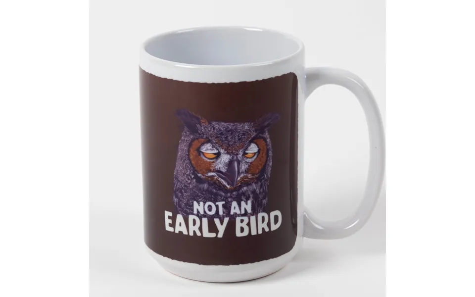 Not An Early Bird Mug