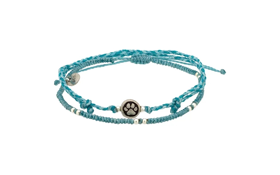 Paw Print Birthstone Anklet Set - December
