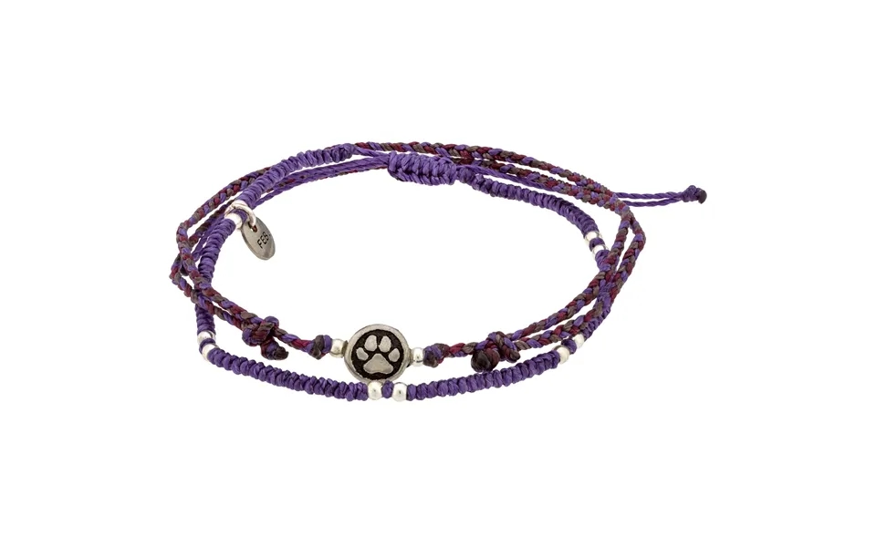 Paw Print Birthstone Anklet Set - February