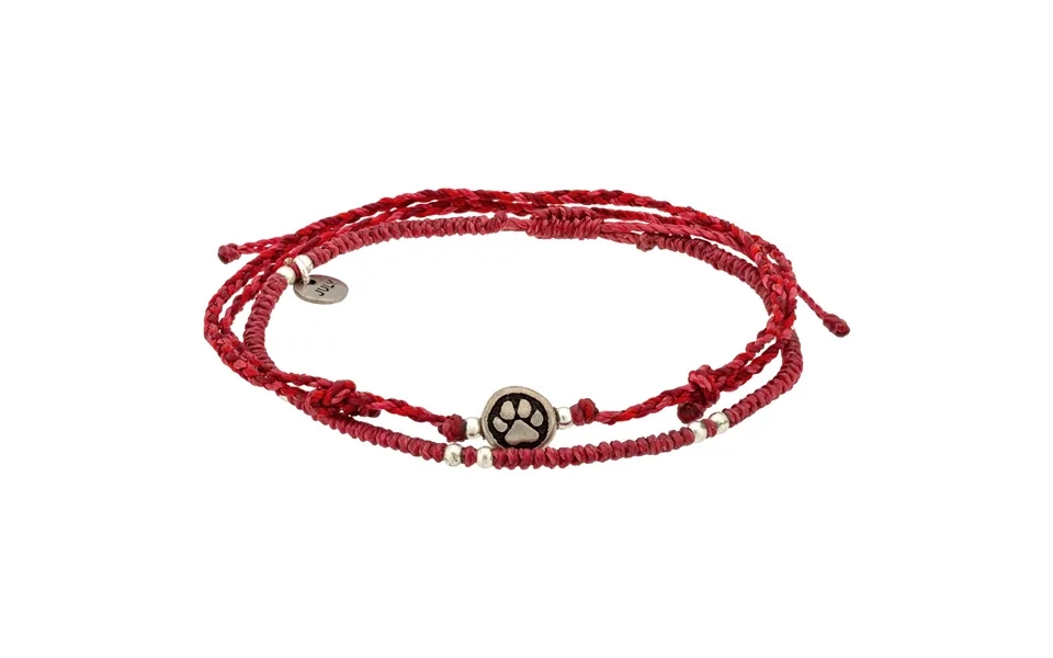 Paw Print Birthstone Anklet Set - July