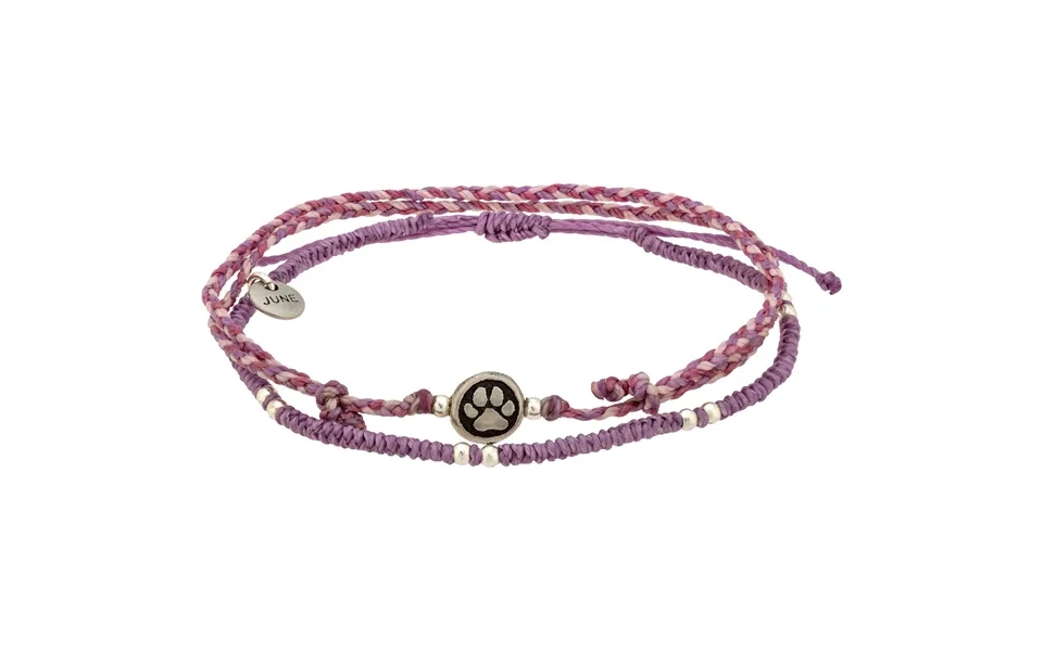 Paw Print Birthstone Anklet Set - June