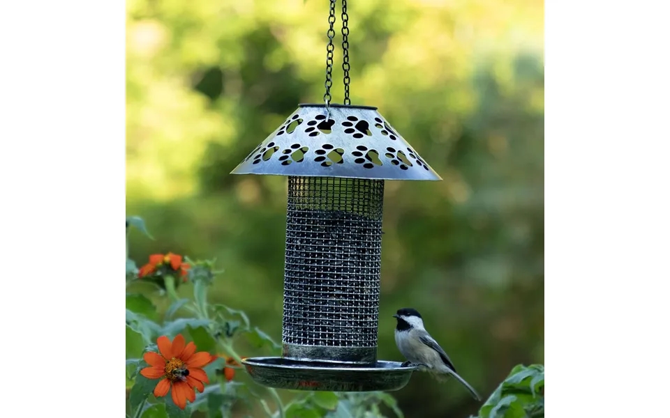 Paw Print Solar Hanging Bird Feeder