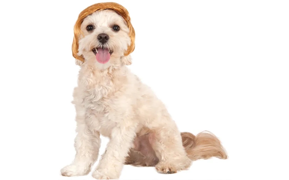 Pawlitical Billionaire Wig Pet Costume - S M