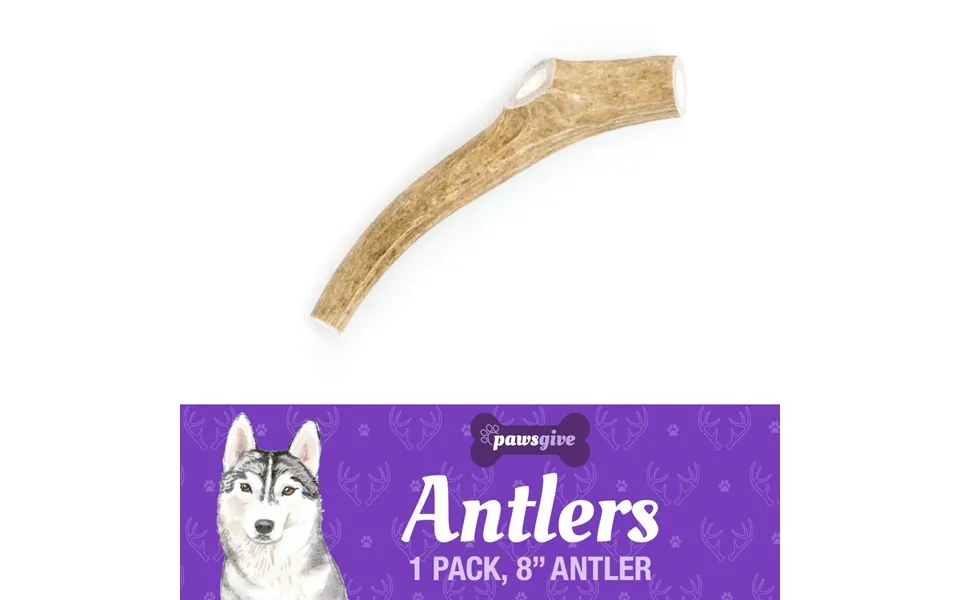 Pawsgive Naturally Shed Antler Dog Chews Natural Dog Chews