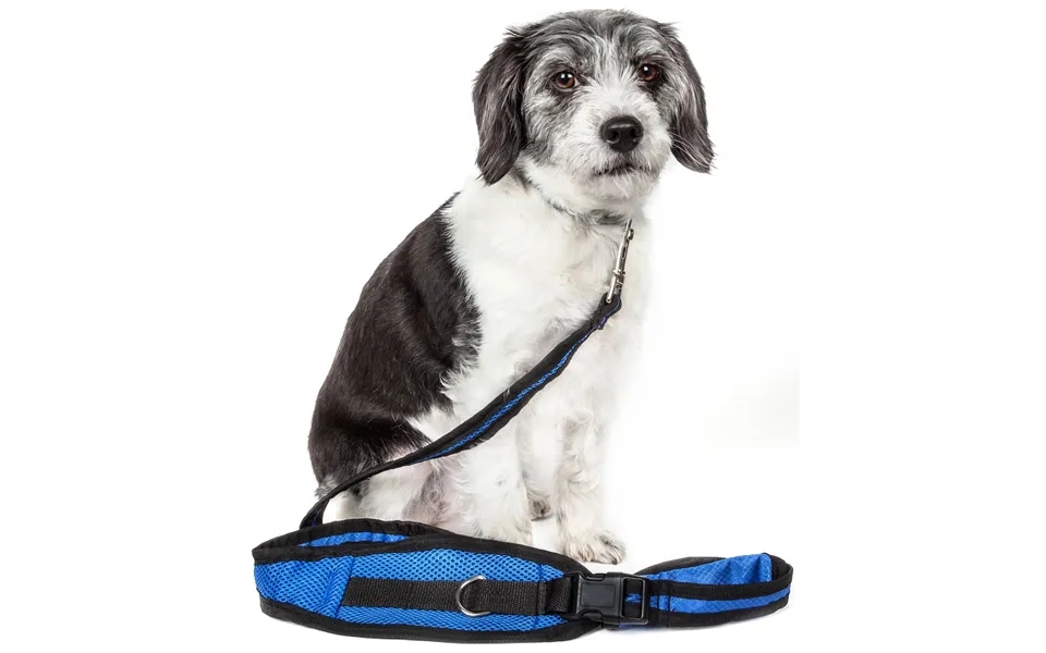 Pet Life Echelon Dog Leash & Belt With Pouch - Blue