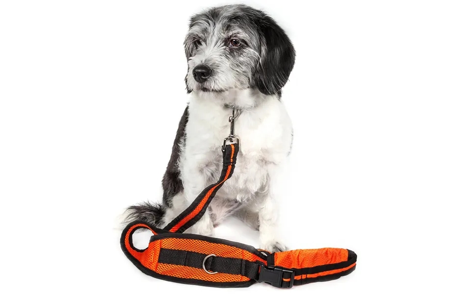Pet Life Echelon Dog Leash & Belt With Pouch - Orange