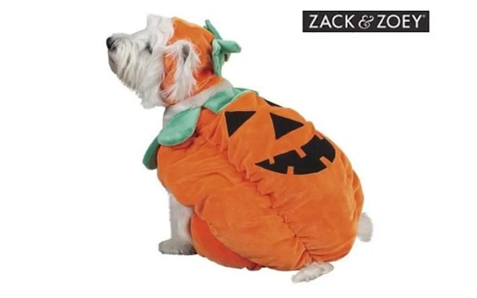 Pumpkin Costume By Zack & Zoey - Sm