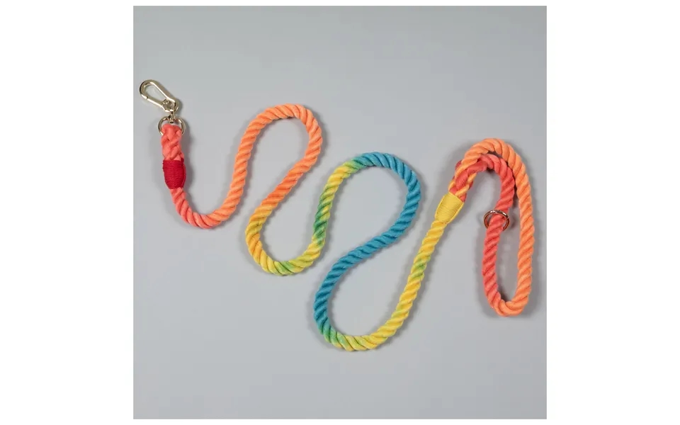 Rainbow Rope Dog Leash - 5 Ft
