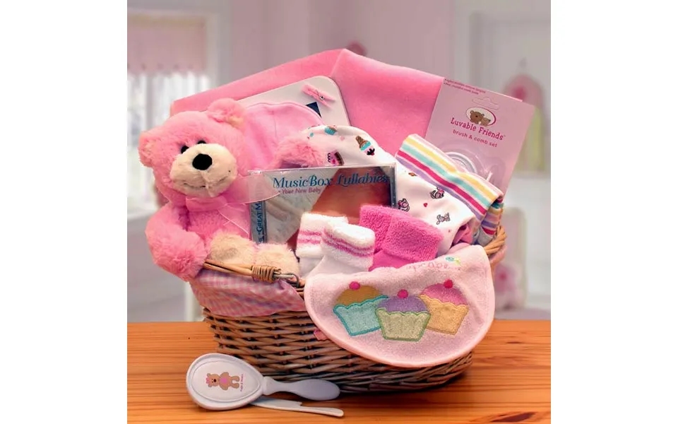 Simply The Baby Basics New Baby Gift Basket -pink