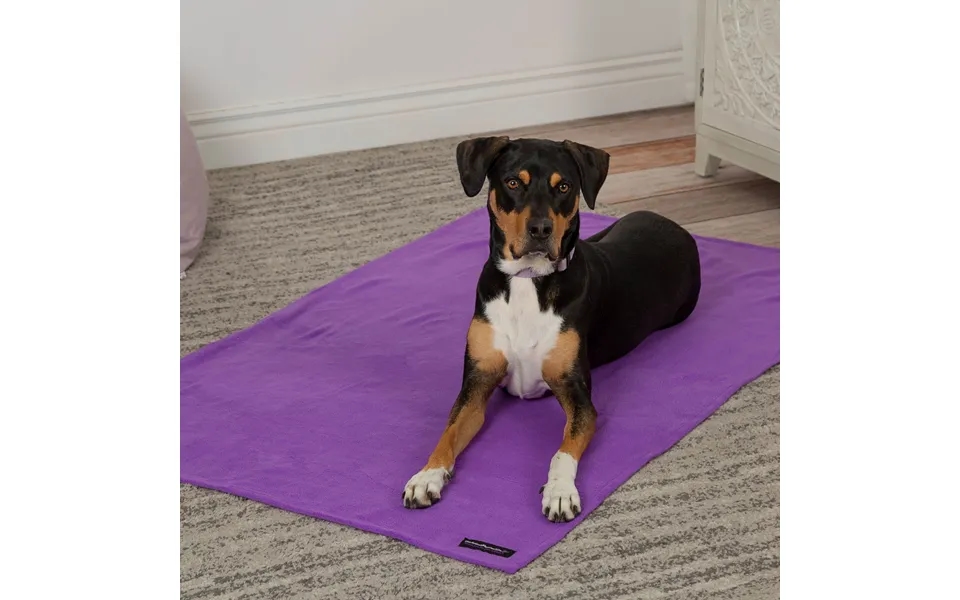 Snuggle Paws Signature Pet Blanket - M