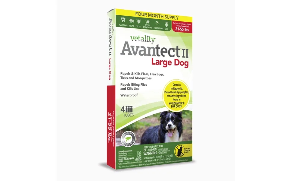 Vetality Avantect Ii For Dogs - 21