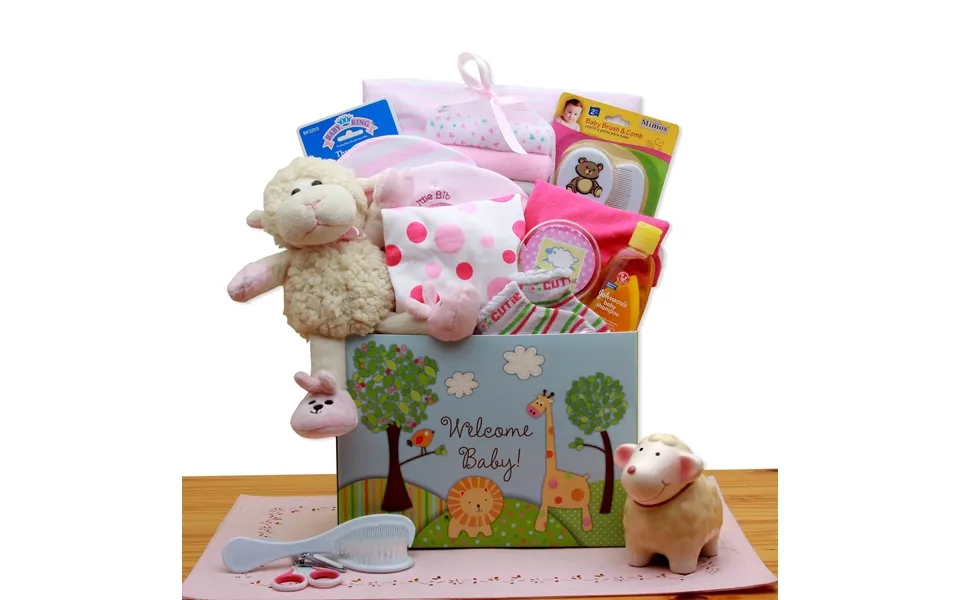 Welcome New Baby Gift Box - Pink