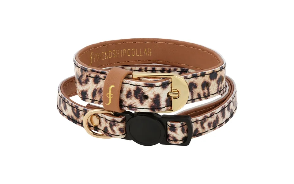 Wild & Free Friendship Cat Collar & Bracelet Set