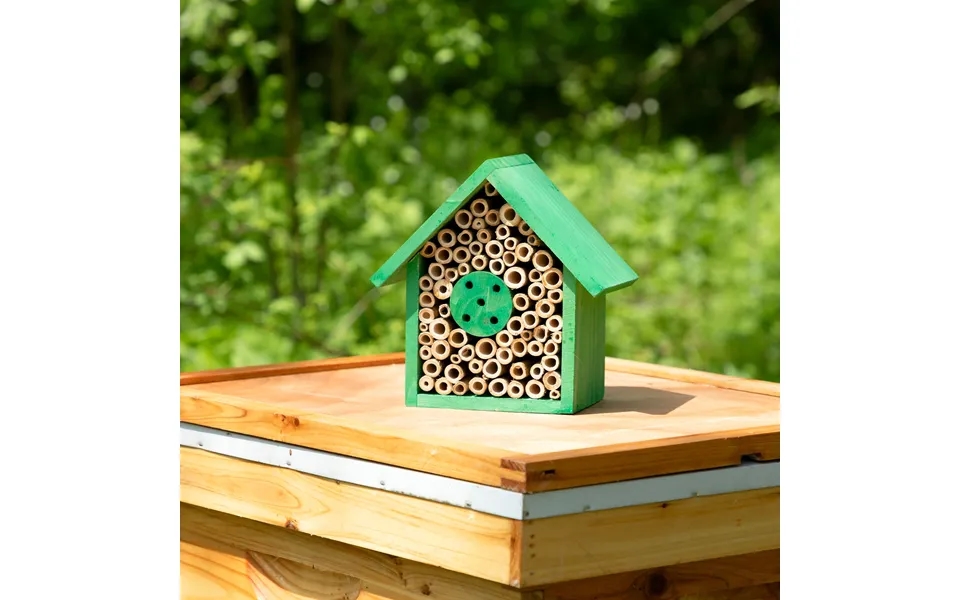 Wooden Bee House 8 Inch - Green