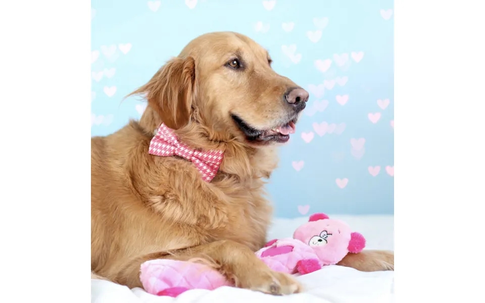 Zippy Paws Jigglerz Pink Bear Dog Toy