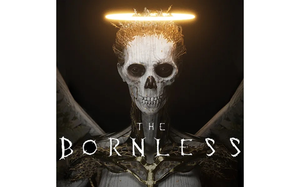 The Bornless Items Global Twitch Drops Many Items Twitch Drops