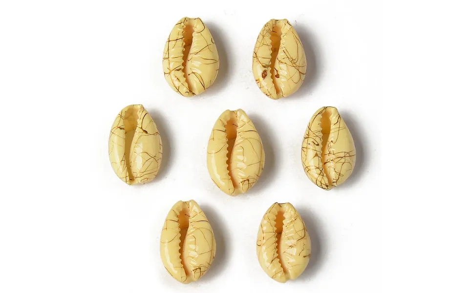 Natural Cowrie Shell Beads