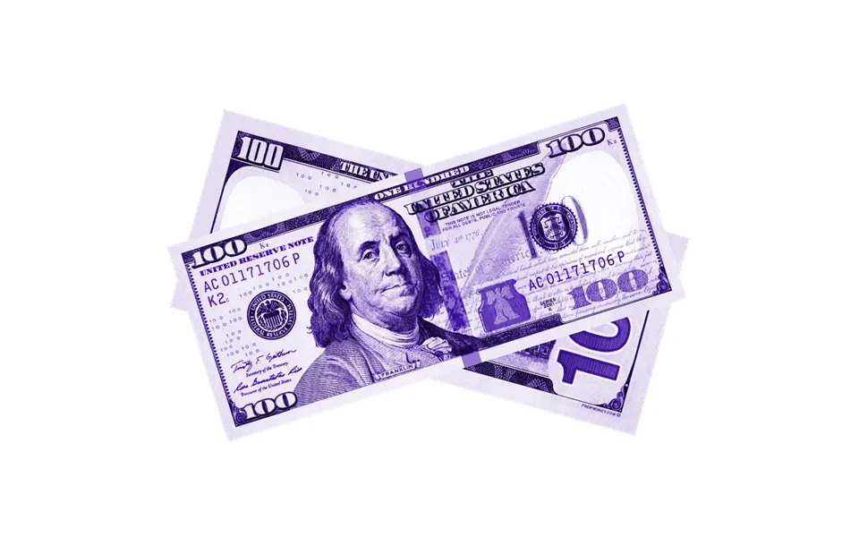 100x 100 New Series Purple Bills