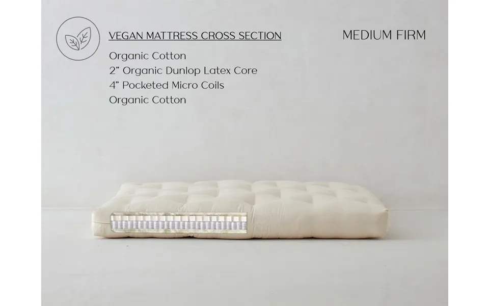 Queen Kapok Latex Futon Mattress Med Firm - Vegan Eco Support The Futon Shop