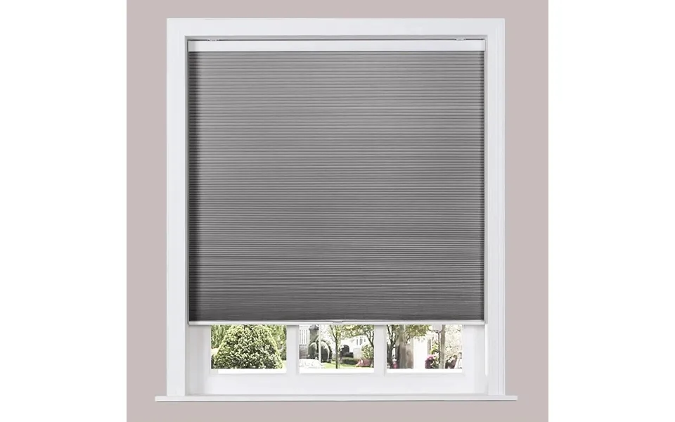 Paola Blackout Cellular Shade Honeycomb Shade Cordless - Dark Grey 341