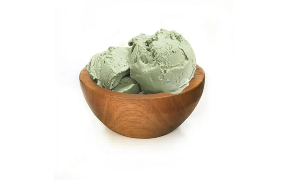 1 Pack G.s. Gelato Green Tea Gelato 5 Liter