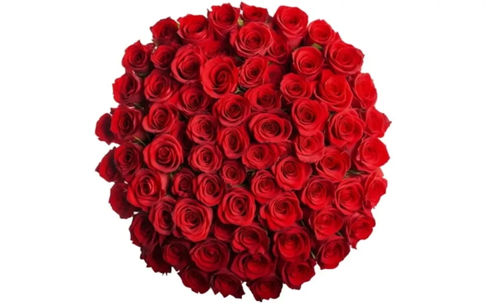 100 Assorted Red Roses- Beautiful Fresh Cut Flowers- Next Day Delivery Available