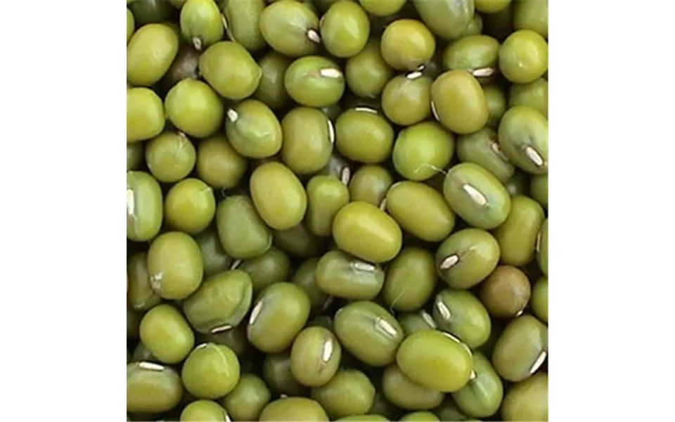 100 Percent Organic Mung Beans 25 Lbs -