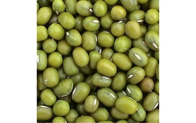 100 Percent Organic Mung Beans 25 Lbs - product image