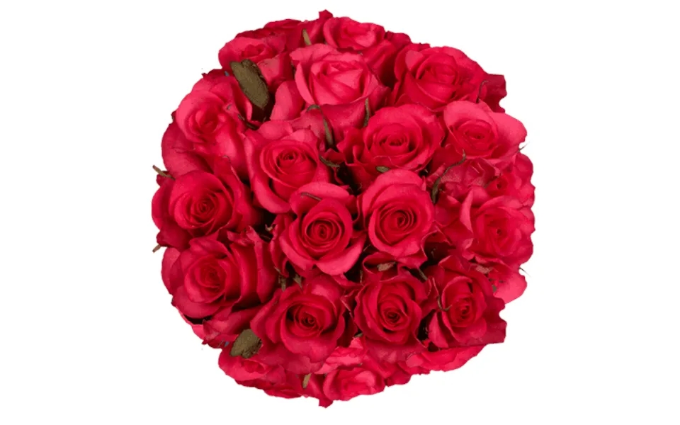 100 Stems Of Hot Pink Roses- Beautiful Fresh Cut Flowers- Express Delivery