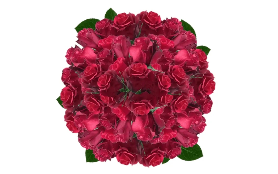100 Stems Of Sexy Red Roses- Fresh Flower Delivery
