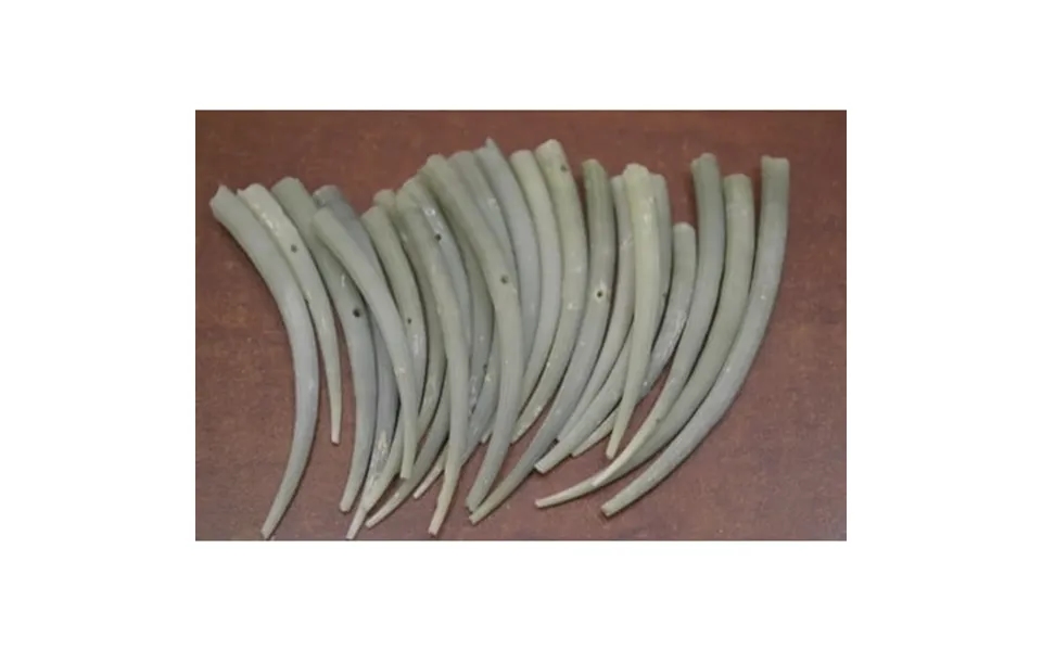 12 Pcs Smooth Green Dentalium Aprinum Shell