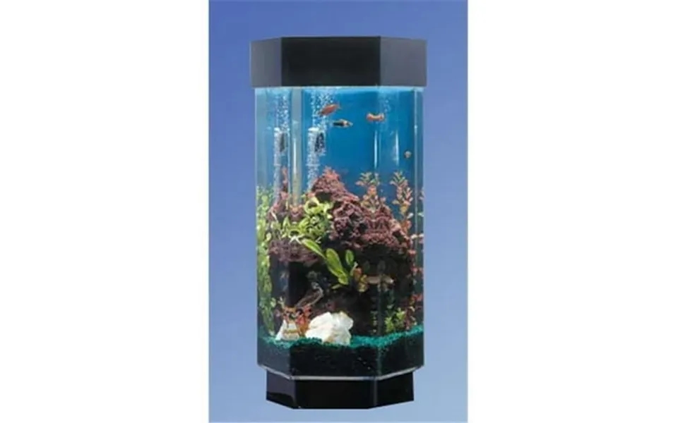 15.5 In. Hexagon Aqua Scape